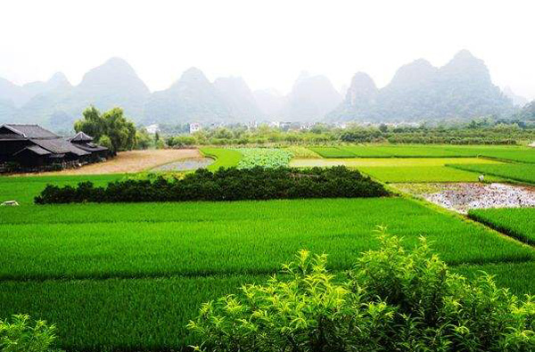 耕地保护标志牌成为禹王台区乡村亮丽的风景线